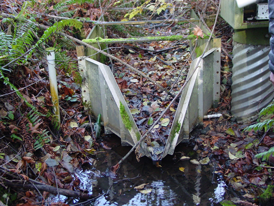 H-flume measuring stream flow clogged by branch and leaves