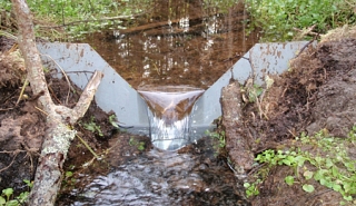 Image for Water Levels and Weirs article