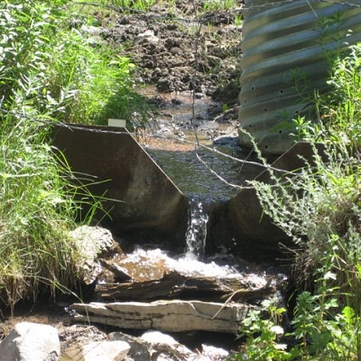 image of Fixed Weir Plates