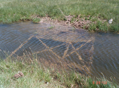 Flooded Parshall Flume