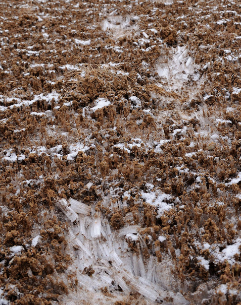 example of frost heave