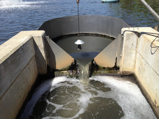 Underflow baffle surrounding Lake discharge Measurement Weir