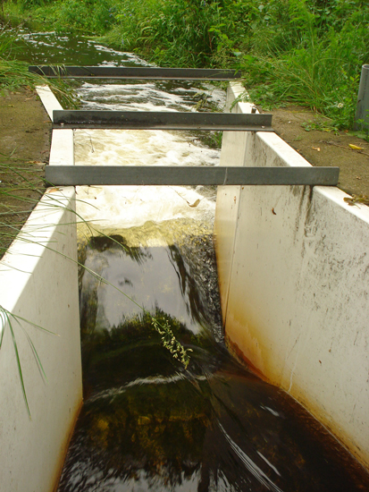 algal growth in a Parshall flume measuring stream flow