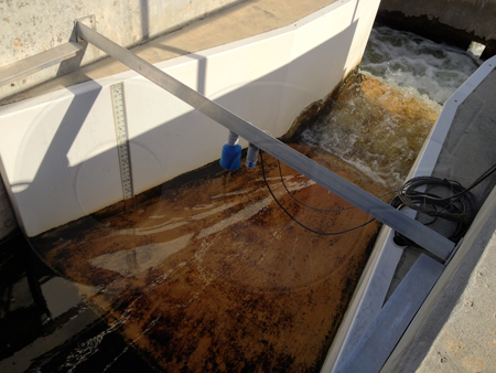 Parshall flume with a Staff Gauge measuring treated effluent