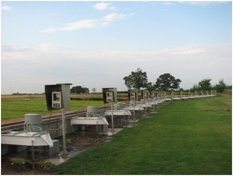 Texas A&M AgriLife experimental turf plots funded by Scotts Miracle-Gro Company