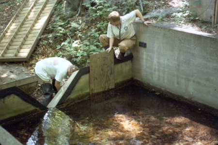 cleaning a weir pool with board over clean-out drain