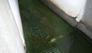Image for 2 Methods of Keeping Parshall Flumes Free of Algae article